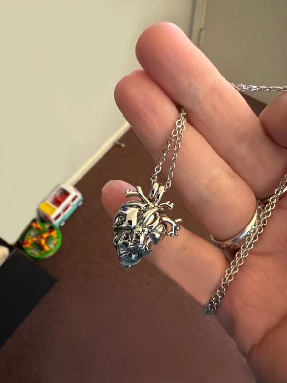 Quality Stainless Steel Anatomical Heart Organ Cremation Pendant Necklace - Image 4